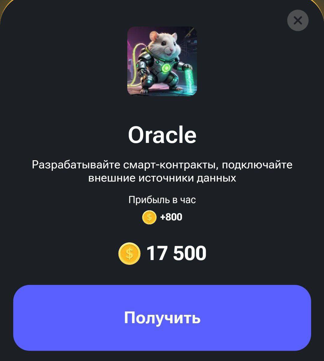 Хомяк комбо и шифр на 24 августа