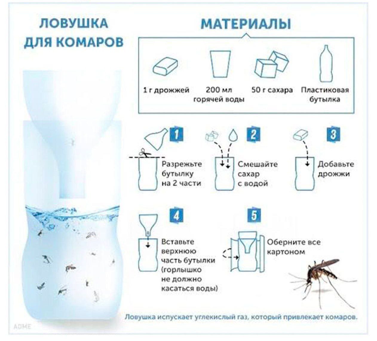 Как привлечь комара в комнате. Как привлечь комара в комнате. Как привлечь комара в комнате. Как привлечь комара в комнате. Большой комар на стене.