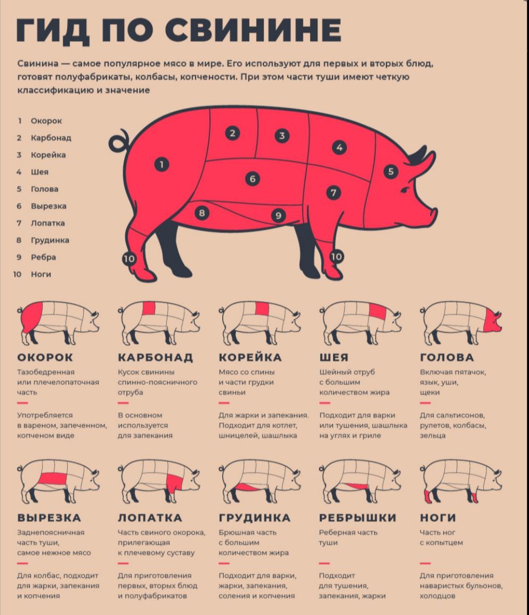 Какое мясо выбрать для шашлыка. Корейка свиная схема разделки туши. Как выбрать мясо. Рубка мяса свинины схема. Свинина это какое мясо.