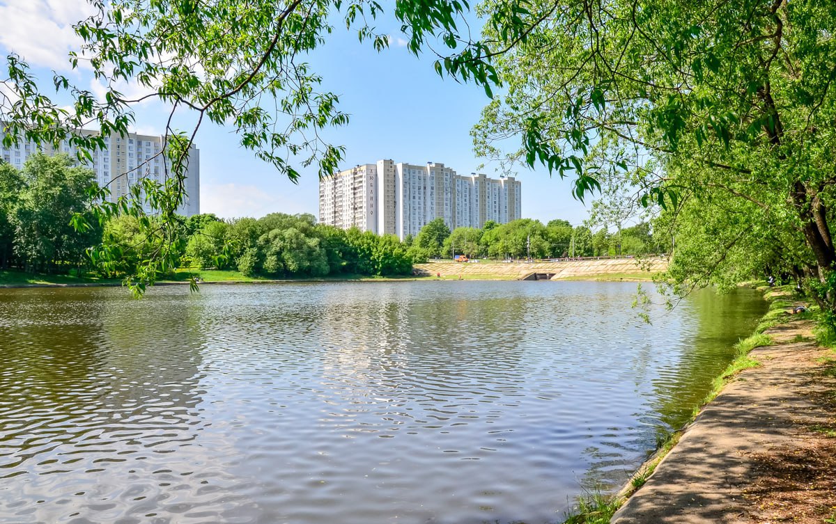 Южное бутово пруд. Парк чистые пруды москва. Зыбинские пруды подольск. Парк усадьба люблино в люблино. Вода в люблино.