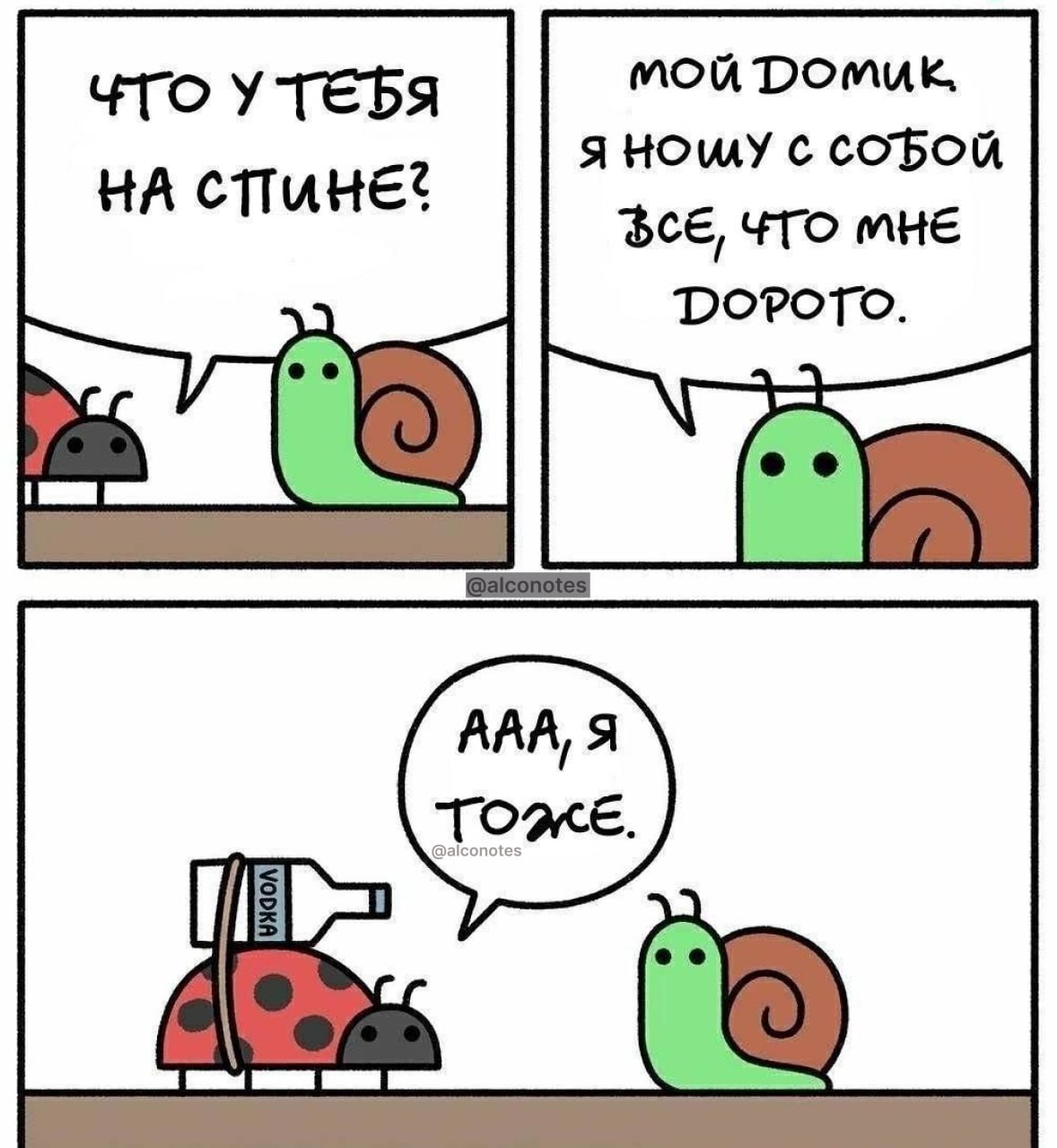 Кто на себе свой дом носит