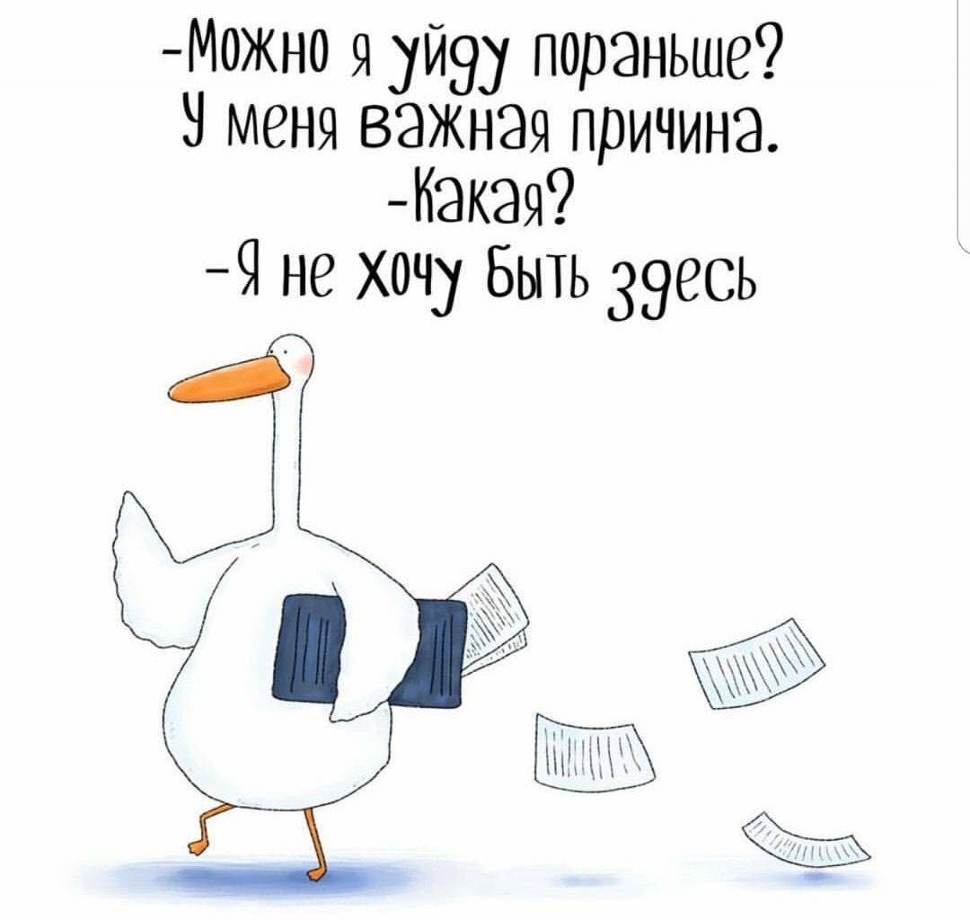 Можно я сегодня пораньше уйду с работы. Когда с работы домой. Хочется уйти по раньше. Можно пораньше уйти с работы. Статус про цыплят.