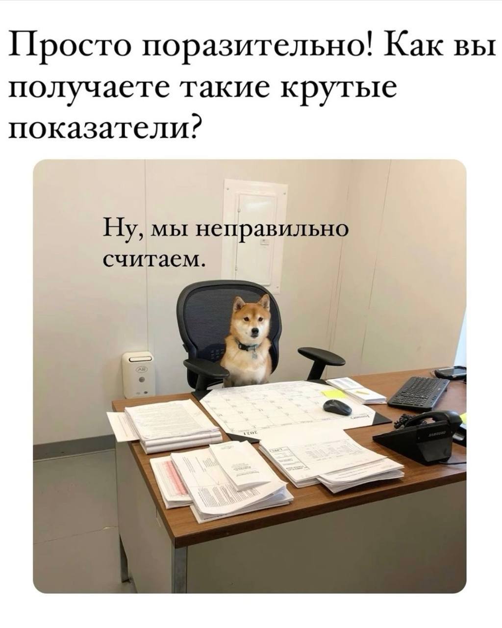 Мемы про бухгалтеров