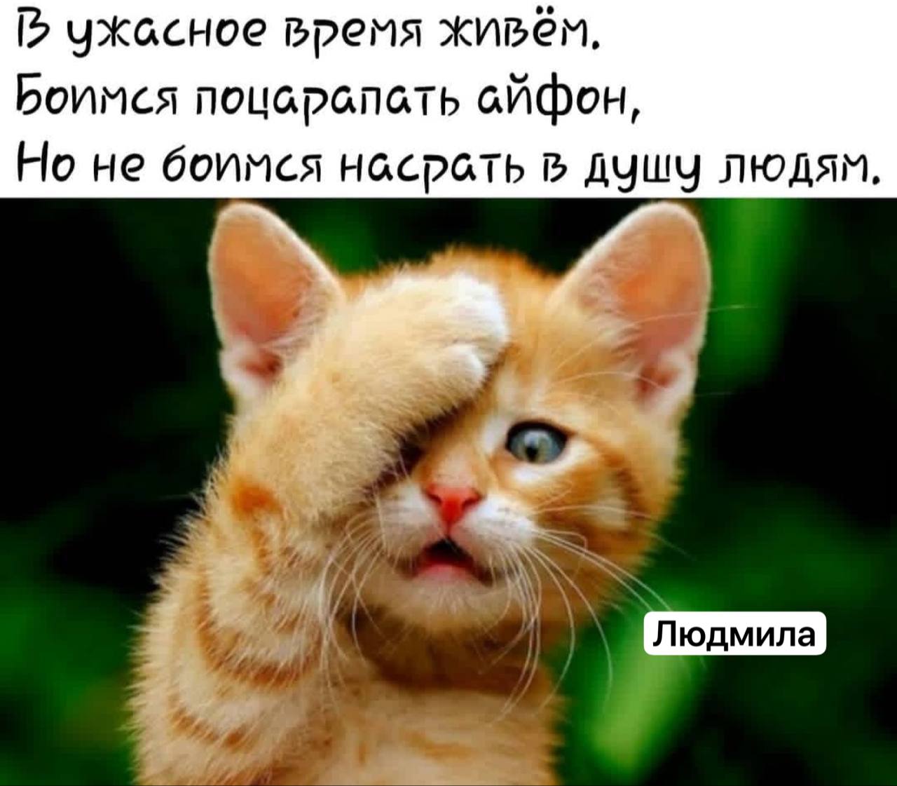 Лето картинки. Лето е мое. Лето. Детский лагерь баннер. Лето заголовок.