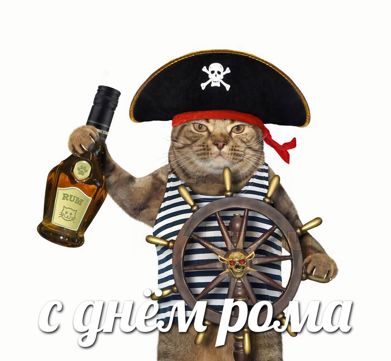 Рома с днем рождения картинки