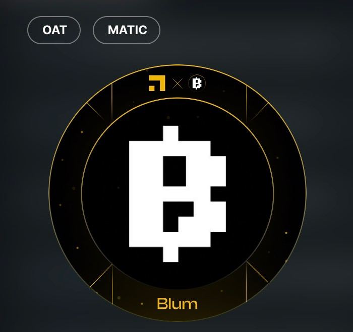 blum capital net worth - Ilustrasi 3